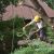 Spring Tree Removal by Spring Creek Tree Service, LLC